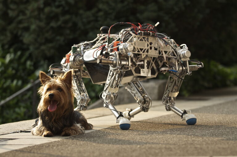 The robot ANYmal prequel StarlETH and a dog.