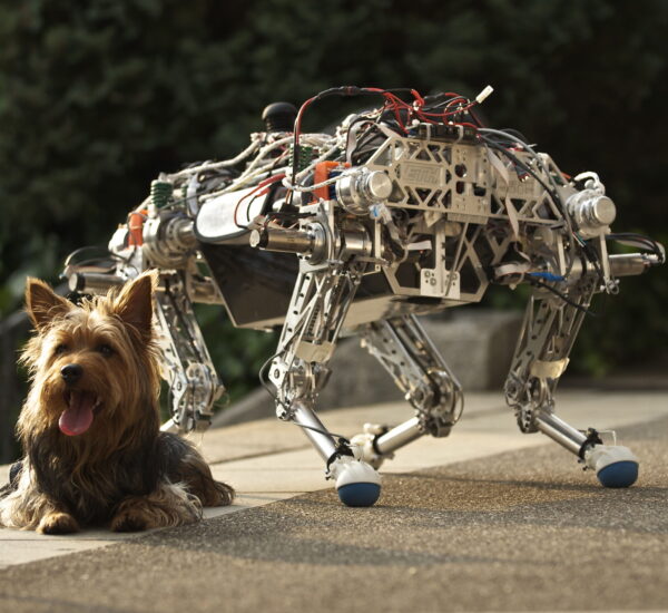 The robot ANYmal prequel StarlETH and a dog.