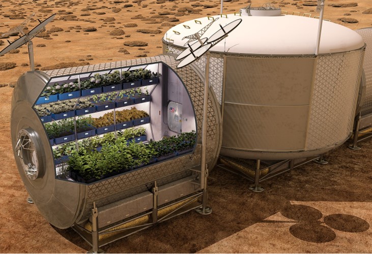Greenhouse on Mars