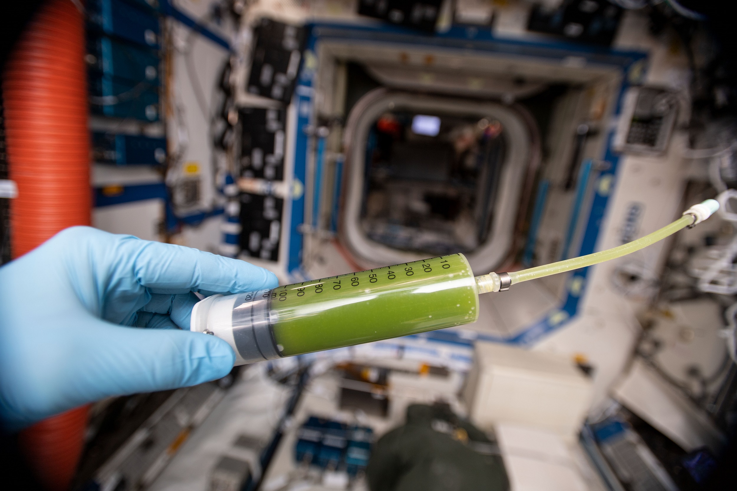 a syringe full of green liquid, held by a hand in a blue glove