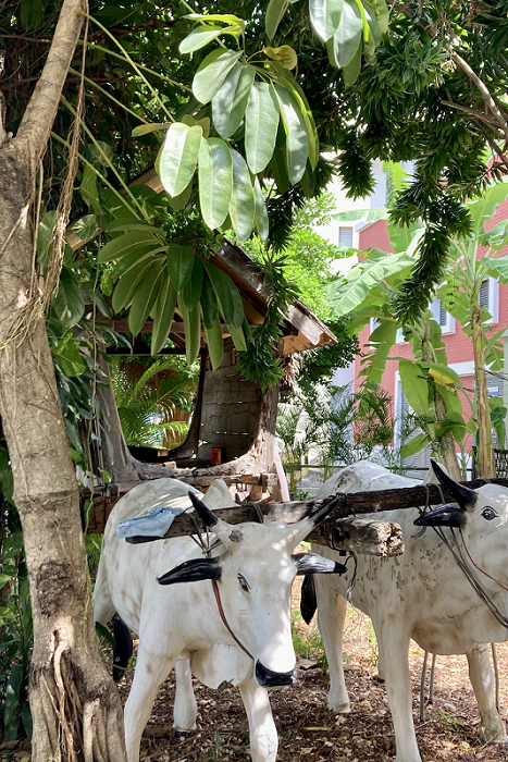 Sculptures of cows pulling a cart in a street.