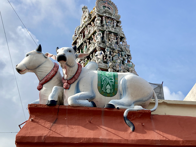Sculptures of sacred cows decorating the Sri Mariamman Temple