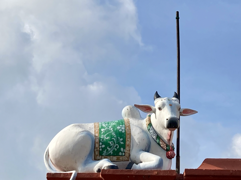 Another sculpture of a sacred cow from the Sri Mariamman Temple
